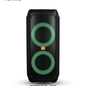 CHALLENGER CH – 2W88DL PARTY SPEAKER