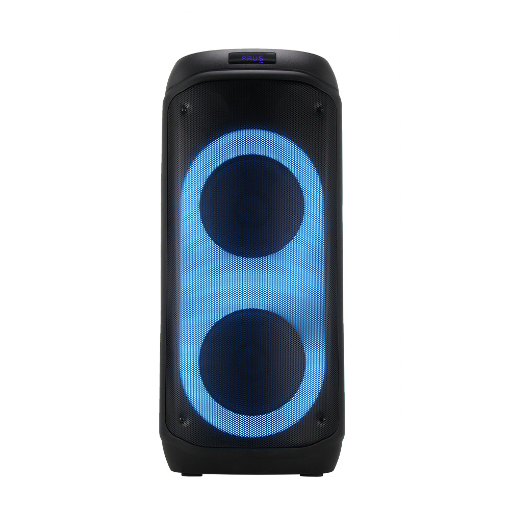 ZJZ 2089- PARTY SPEAKER